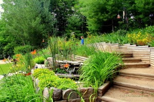 Landscaped tiers containing a variety of garden plants.