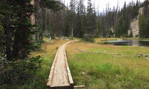 The 90% New Year’s Resolution