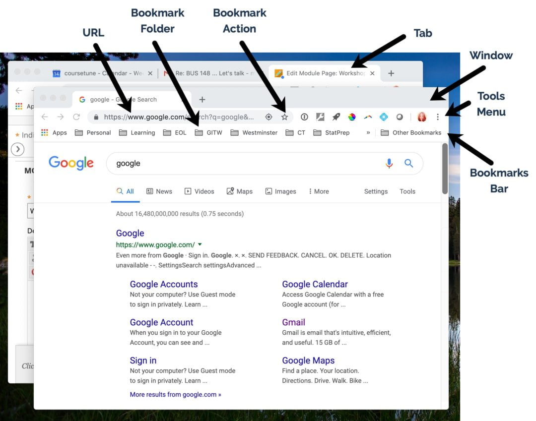 Web Browser Basics Busynessgirl